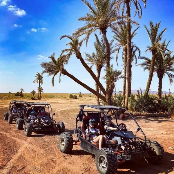 circuit buggy palmeraie marrakech