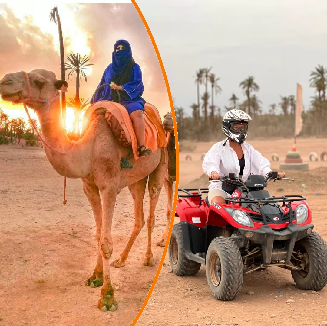 Quad bike with camel ride in the Marrakech palm grove