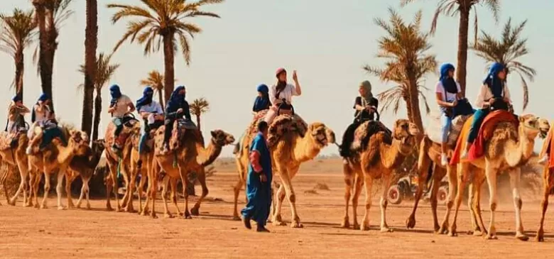 Dromedary ride